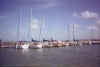 marina_row.jpg (47540 bytes)